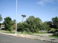 Кочерів з panoramio.com