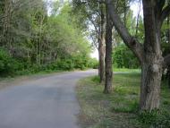 Тельманове з panoramio.com