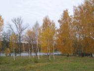 Корчаківка з panoramio.com