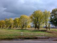 Терещенки з panoramio.com