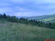 Сливниця - Останні фото