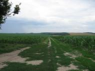 Білоусівка з panoramio.com