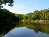 Kalynove-Borschuvate - Latest photos