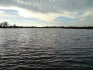 Редьківка з panoramio.com