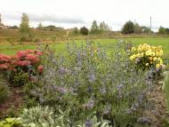 Плахтянка - Останні фото