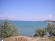 Андріївка з panoramio.com