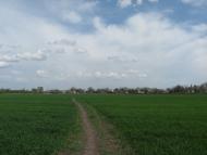 Димитрове з panoramio.com