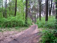 Ворзель з panoramio.com