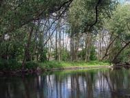 Голосків з panoramio.com