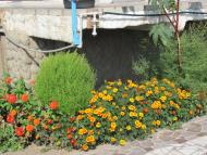 Більшовик з panoramio.com