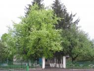 Ладижинські Хутори з panoramio.com