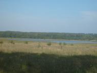 Польова Лисіївка з panoramio.com