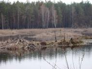 Жовтневе з panoramio.com