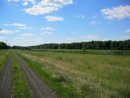 Тельманове з panoramio.com