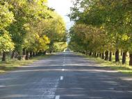 Іза з panoramio.com