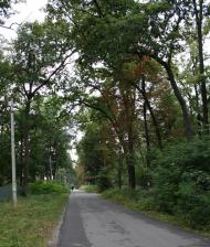 Ворзель з panoramio.com