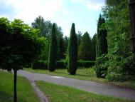 Васютинці з panoramio.com