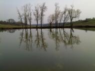 Ков'яги з panoramio.com