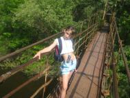 Омельник з panoramio.com