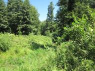 Старосілля з panoramio.com