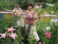 Боровиця - Останні фото