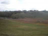 Бабенки з panoramio.com