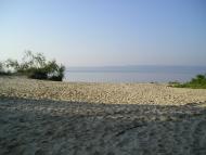 Логвин - Останні фото