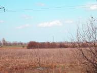 Тамара з panoramio.com