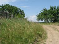 Ладижинські Хутори з panoramio.com