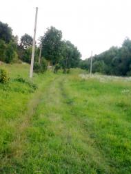 Михайлівці з panoramio.com