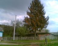 Жукля з panoramio.com