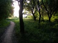 Горбачево-Михайлівка з panoramio.com