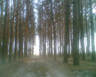 Кочерів - Останні фото