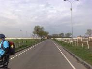 Козлин з panoramio.com