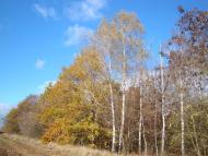 Кам'янка з panoramio.com