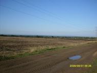 Ладижинські Хутори з panoramio.com