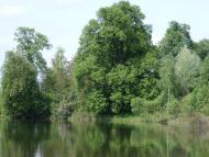 Трудове з panoramio.com