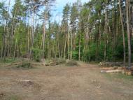 Кам'янка з panoramio.com