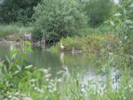 Ладижинські Хутори з panoramio.com