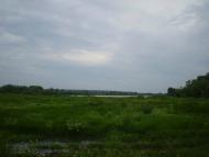 Радуль з panoramio.com