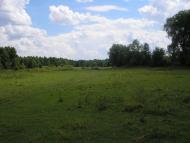 Сваркове з panoramio.com