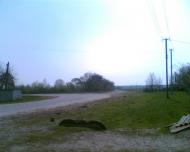 Квітневе з panoramio.com