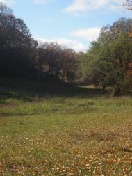 Бабенки з panoramio.com