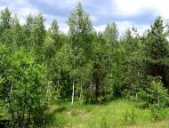 Пархомівці з panoramio.com