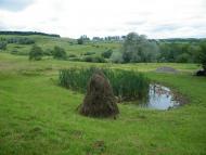 Верхні Станівці з panoramio.com