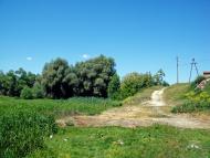 Голосків з panoramio.com