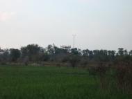 Новомалинівка - Останні фото