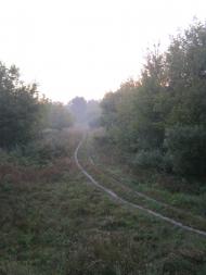 Чепелі - Останні фото