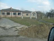 Сасинівка - Останні фото