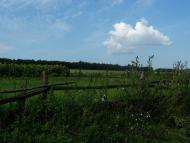 Велика Павлівка з panoramio.com